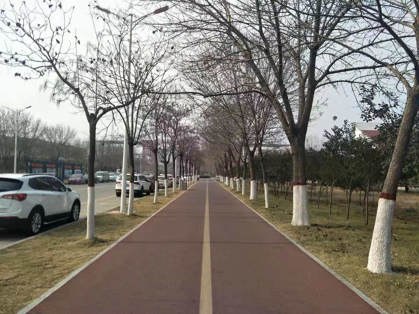 皇冠体育官方网站